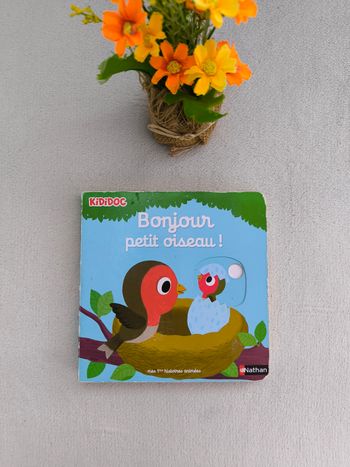 Livre Kididoc Bonjour petit oiseau Nathan