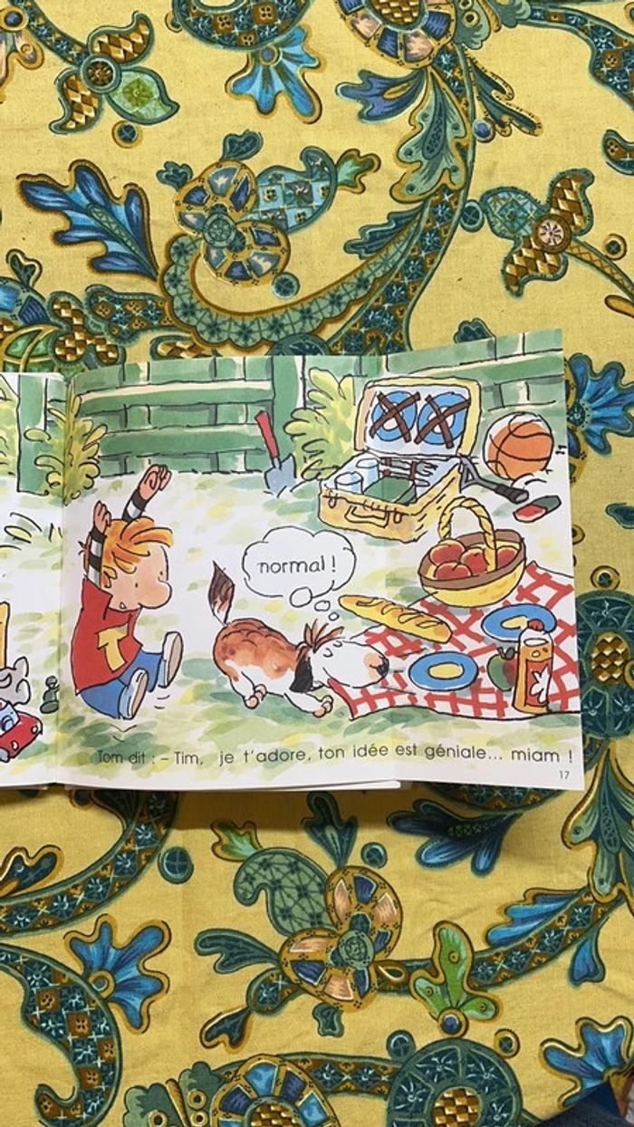 🤩 Tom et Tim - La colère de Tom - photo numéro 4