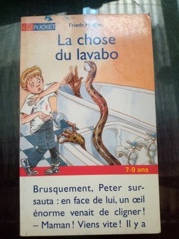 la chose du lavabo Frieda Hughes
