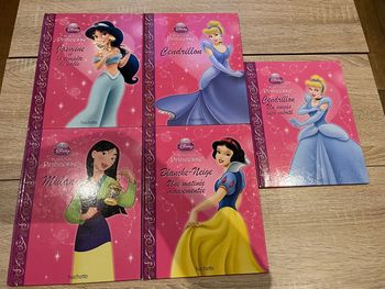 Lot 5 livres Princesses Disney