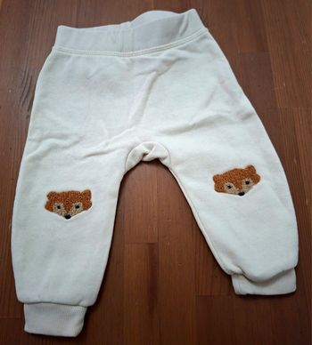 Joggings renard