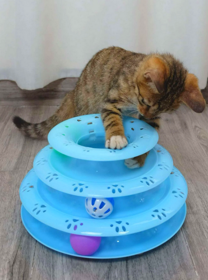 Jouet pour chat tour bleu avec 3 balles Neuf - photo numéro 2