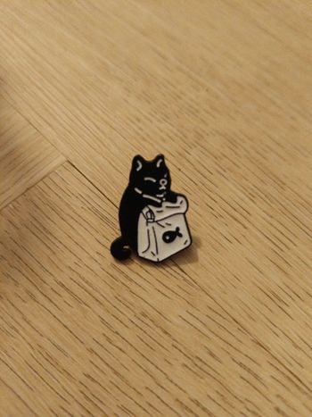 Pin's chat