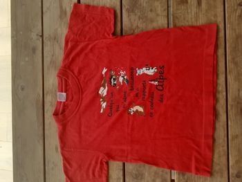 tee shirt rouge logos les Alpes  - 6 ans