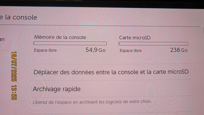 nintendo switch oled +256go sacoche manette pro yoshi crafted mario & luigi looney tunes - photo numéro 4