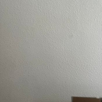Donne article peinture activités enfants