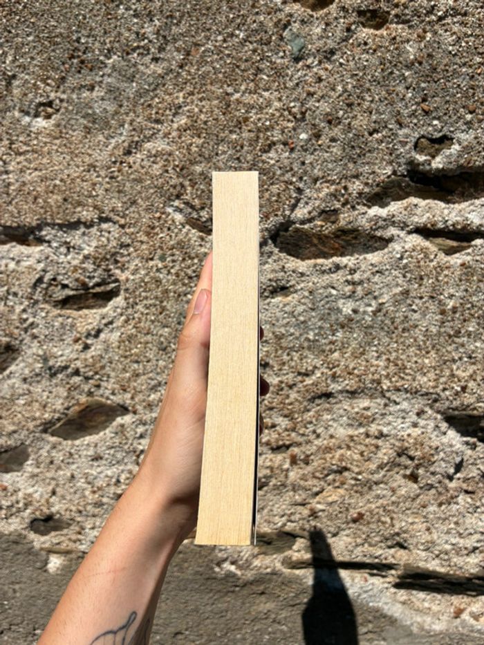 Une mort sans importance par Mariah Fredericks - photo numéro 3