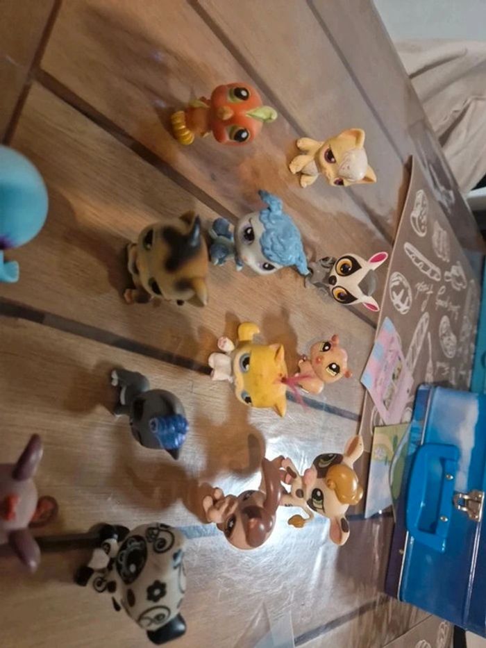 Lot petshop - photo numéro 4