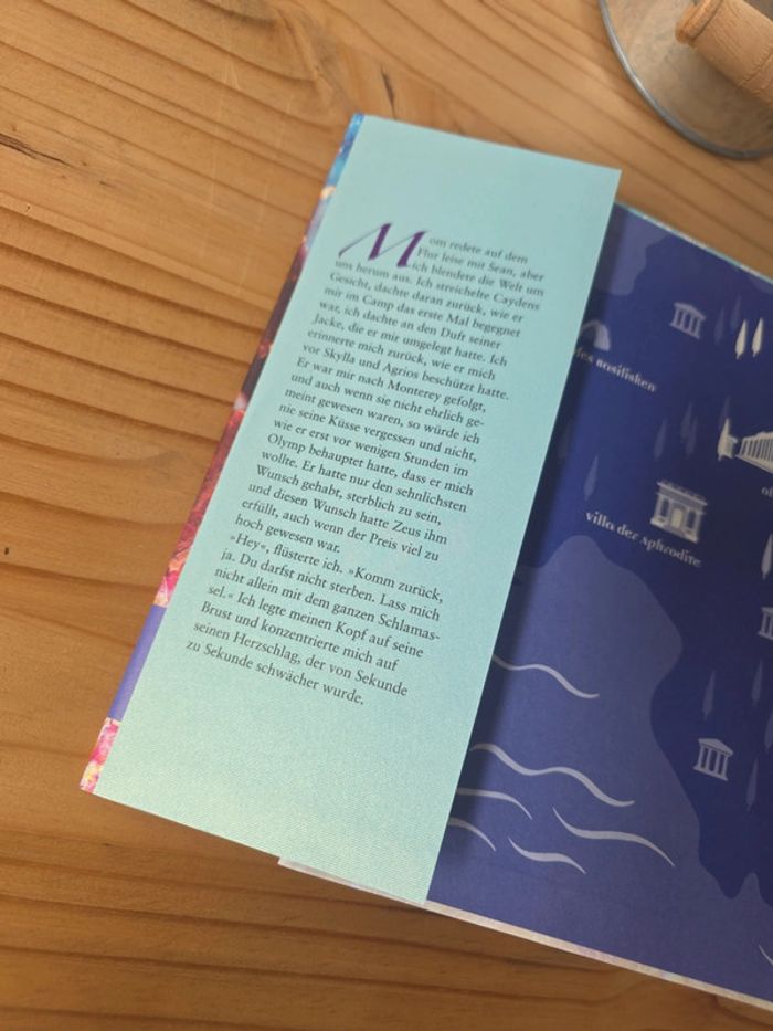 Buch Verlasse mich nicht Götterfunke Marah woolf - photo numéro 7