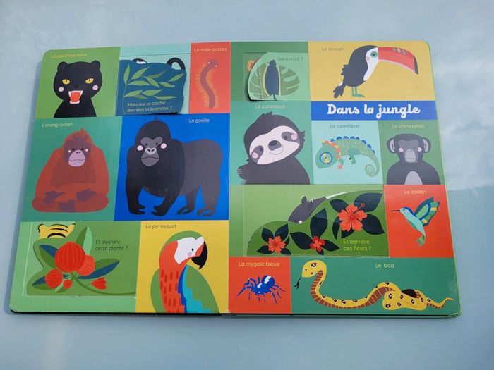 Grand livre à flaps 🦍 Mon Bel Imagier 🦜 Les animaux 🐆 73 - photo numéro 10