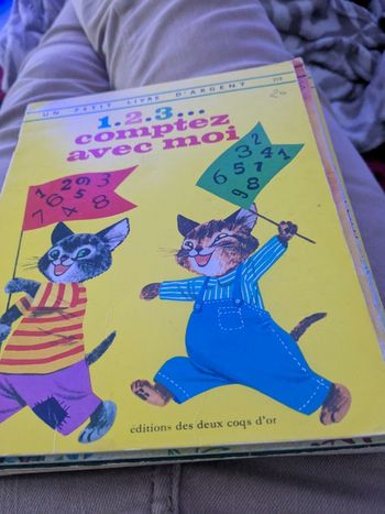 Livre vintage 123 compter avec moi