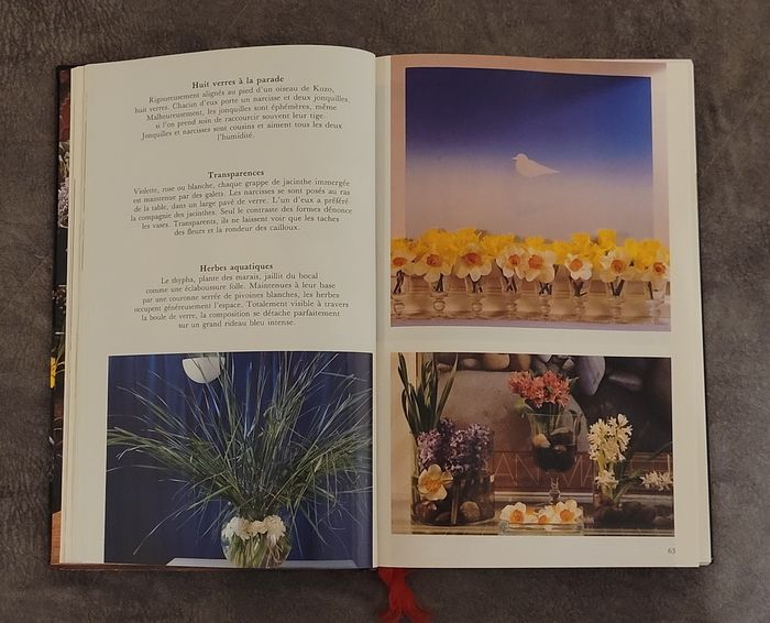 La maison fleurie - le guide le plus complet - photo numéro 3