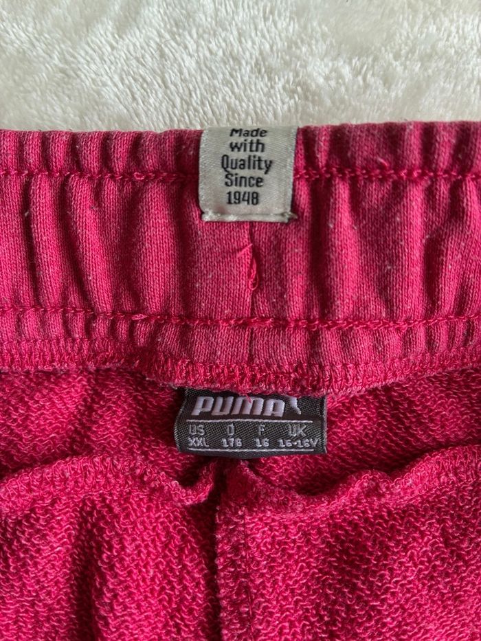 short rose puma - photo numéro 2