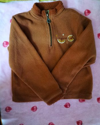 Lot de 2 pulls garçon 8 ans