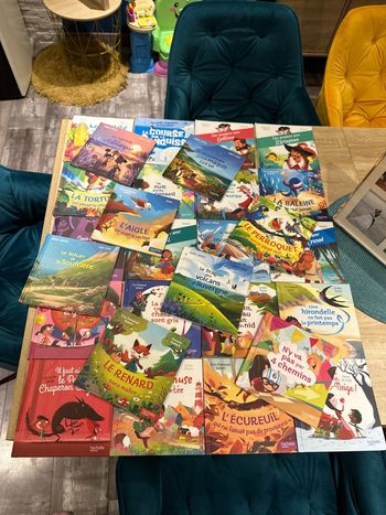 Lot de 28 petits livre