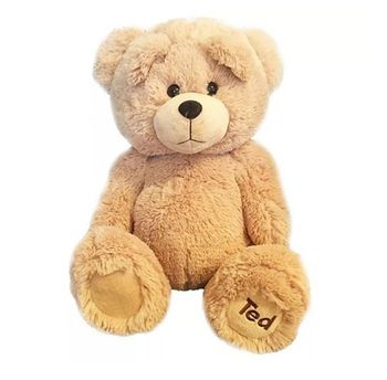 PELUCHE TED NEUVE
