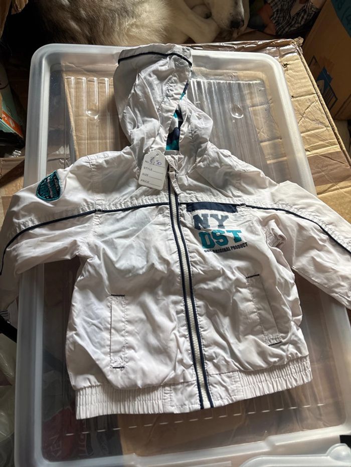 Veste