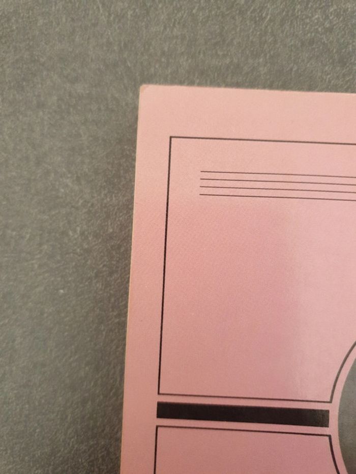 Vous et votre persan - photo numéro 10