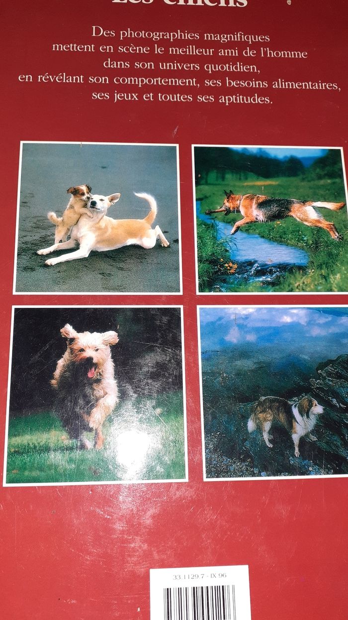 Livre chiens les races - photo numéro 3