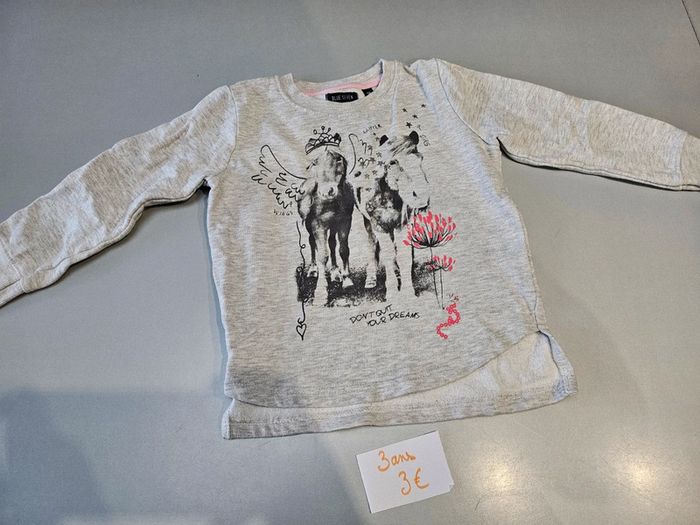 Pull chevaux