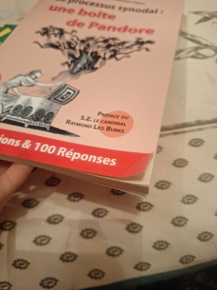 2023le processus synodal une boîte de pandore 100 questions réponses - photo numéro 3