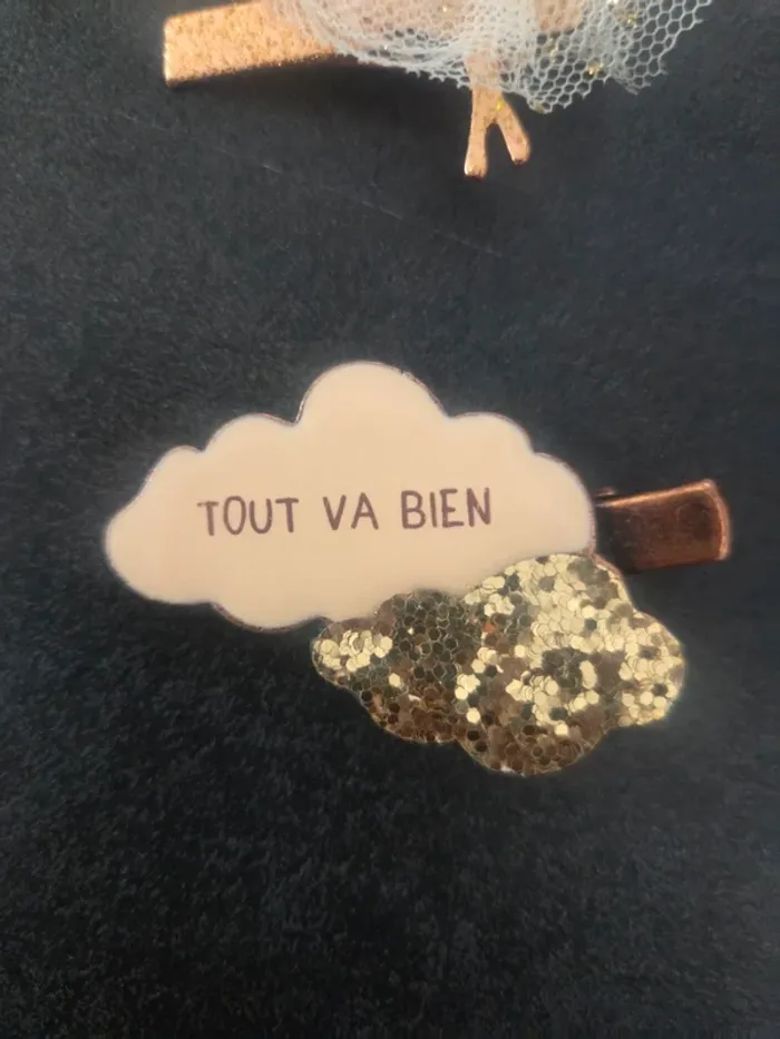 Lot de 2 pinces - photo numéro 2