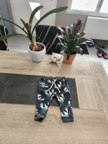Pantalon legging garçon 12 mois Catimini