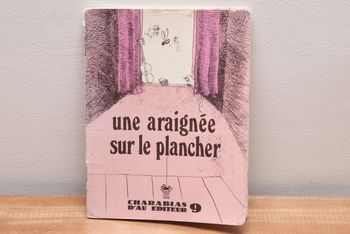 Une araignée sur le plancher