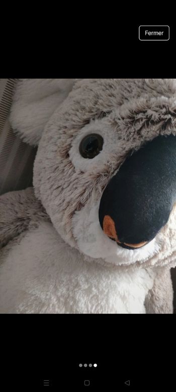 Koala XXL