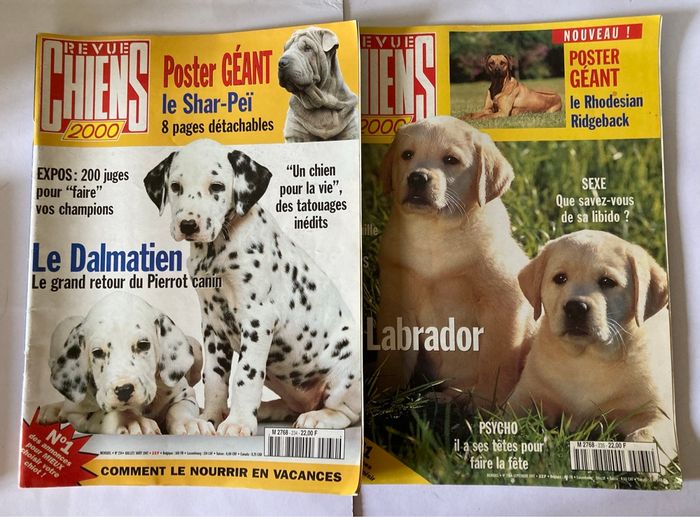 Lot 2 magazines Revue Chiens 2000