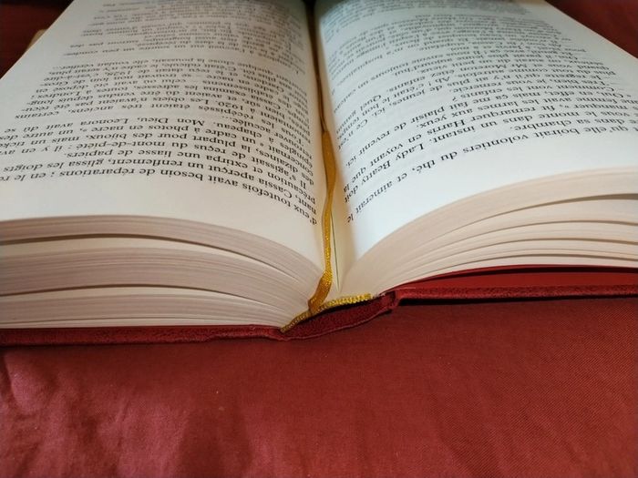Livre la fortune de cassia - photo numéro 3