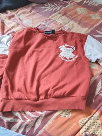 Sweat harry potter