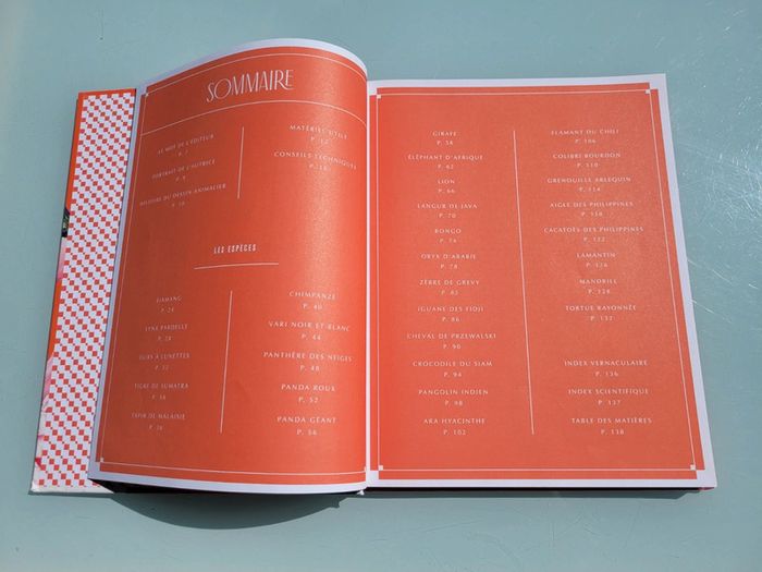 Livre 30 espèces à dessiner en pas-à-pas 🦩 Animaux à sauver 🦒 Beaux-Arts pour la terre (72) - photo numéro 4