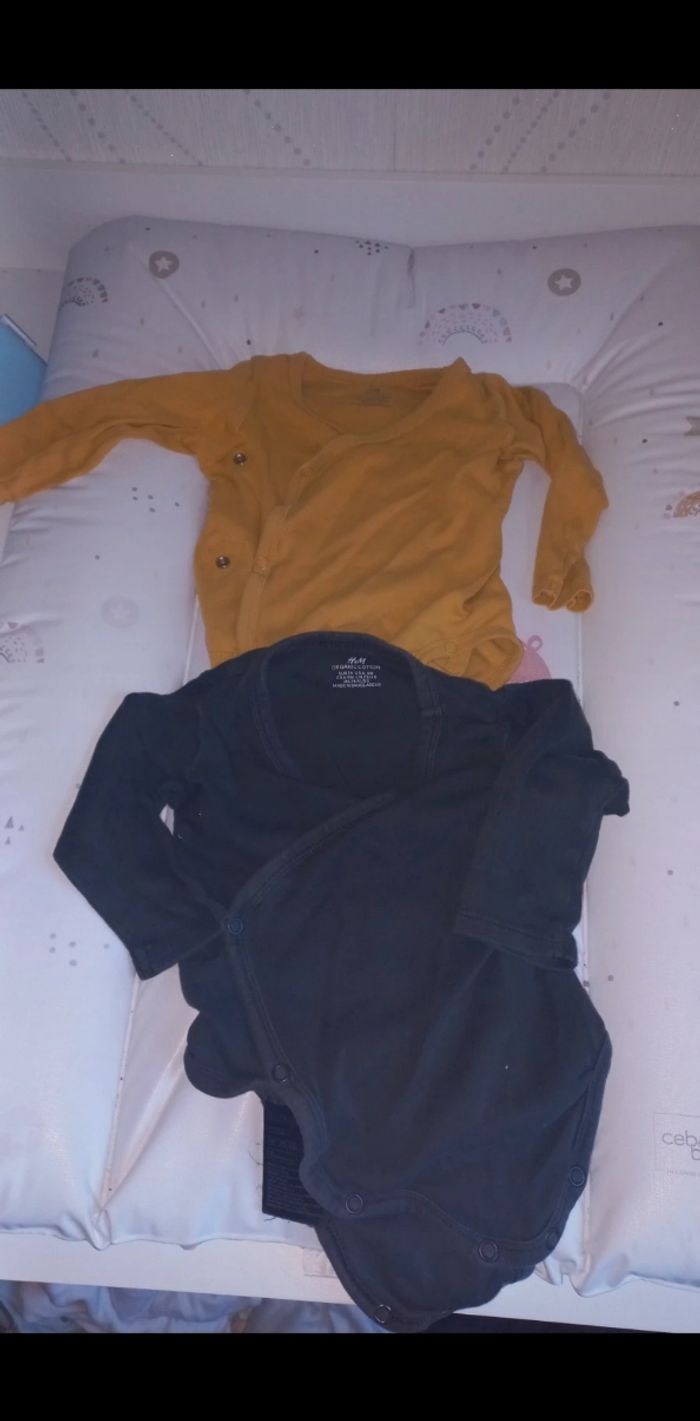 Lot 2 body