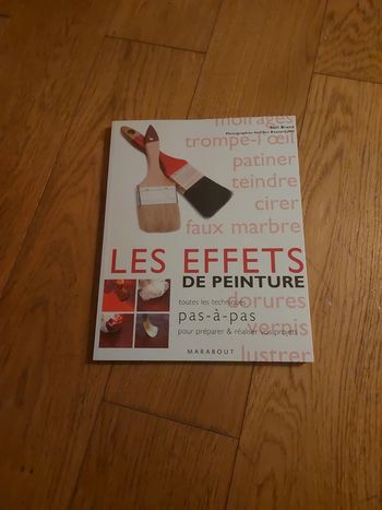 Livre de loisir créatif Les effets de peinture