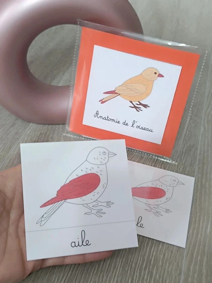 Cartes de nomenclature de l'oiseau