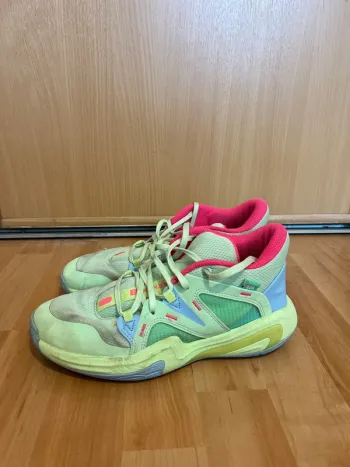 Basket de basketball