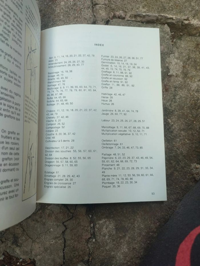 Livre greffes boutures et semis - photo numéro 7