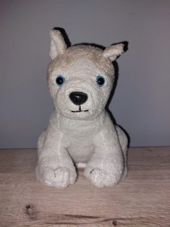 Petite peluche husky