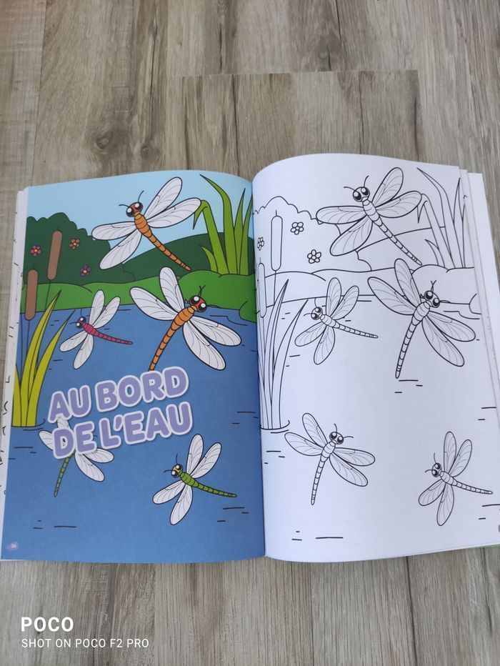 Coloriage et activités - photo numéro 5