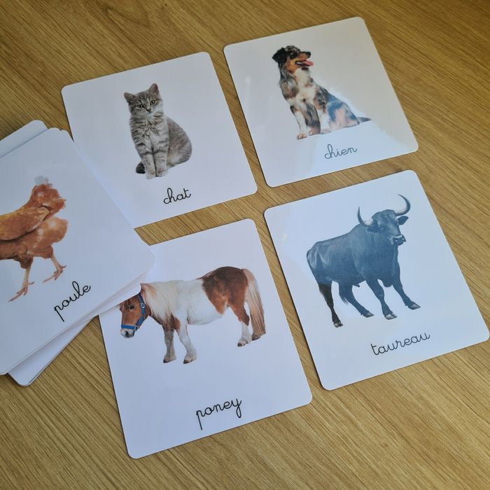 24 imagiers Animaux de la ferme / cartes de nomenclature - photo numéro 2