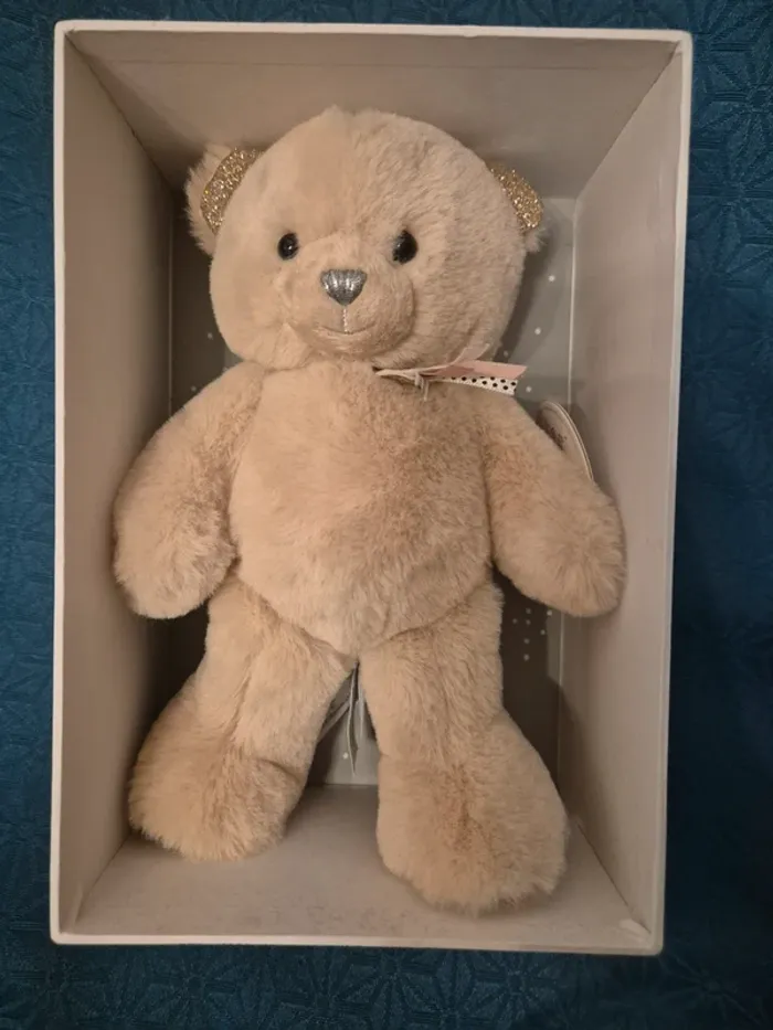 Doudou Histoire d’Ours