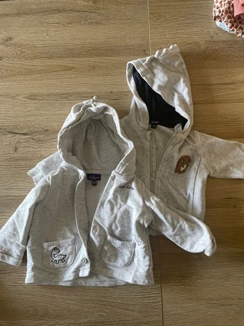 2 gilet gris à capuche dinosaures