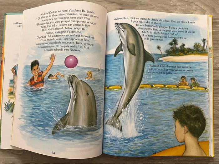 Livre au pays des dauphins - photo numéro 2