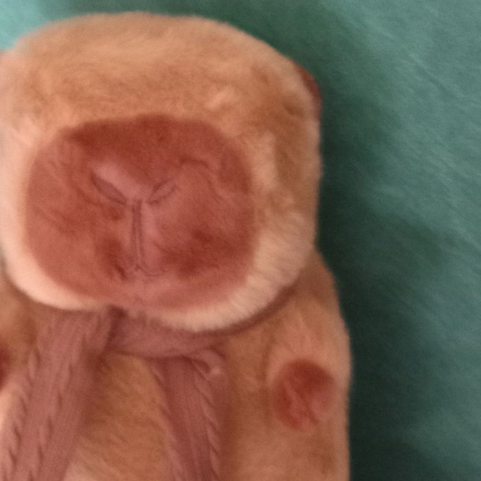Peluche Capybara - photo numéro 3