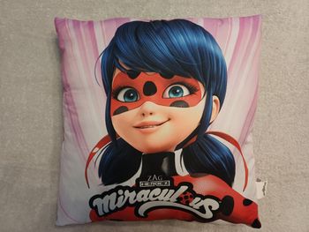 Coussin Miraculous (réf perso G-Q40)(familleac72)