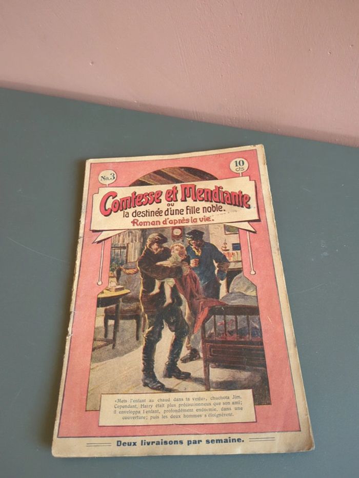 Comtesse et mendiante la destinée roman