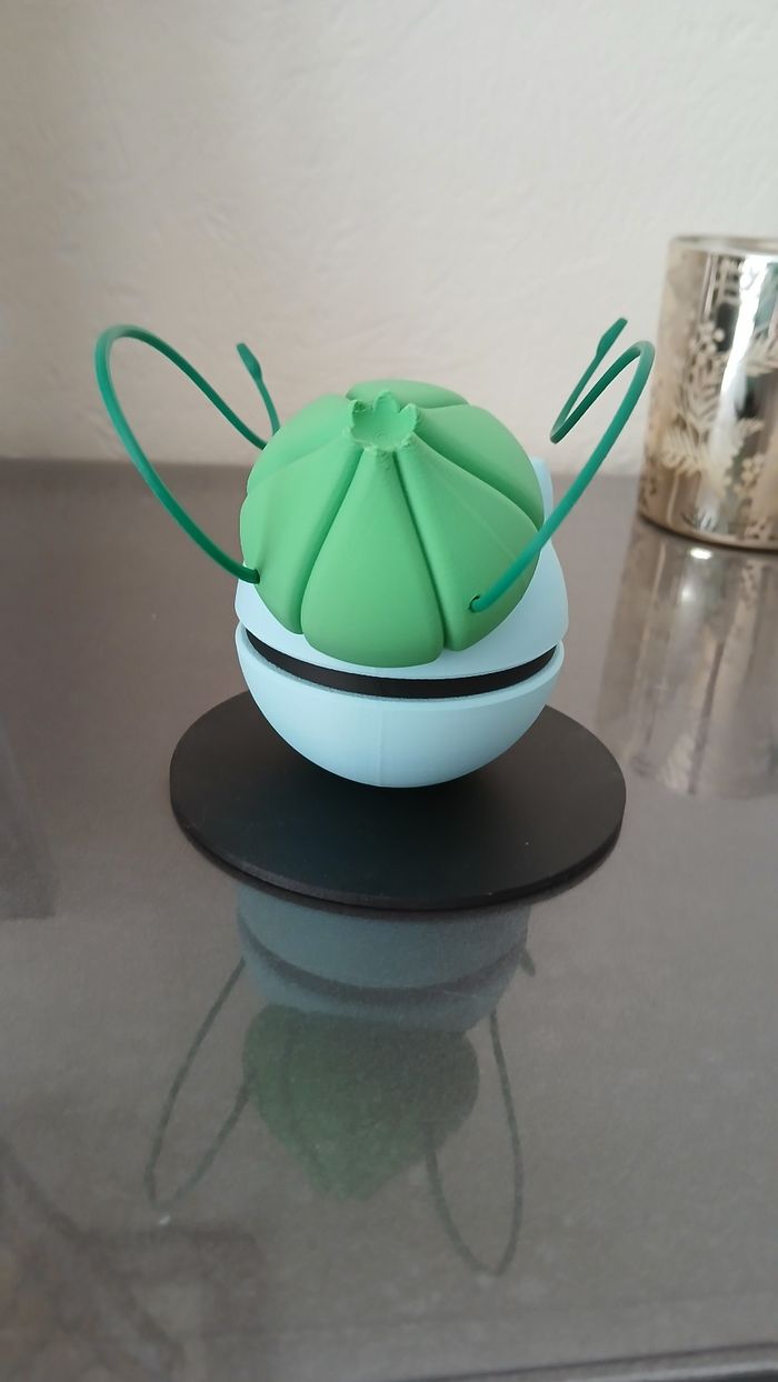 Pokeball Bulbizarre - photo numéro 3