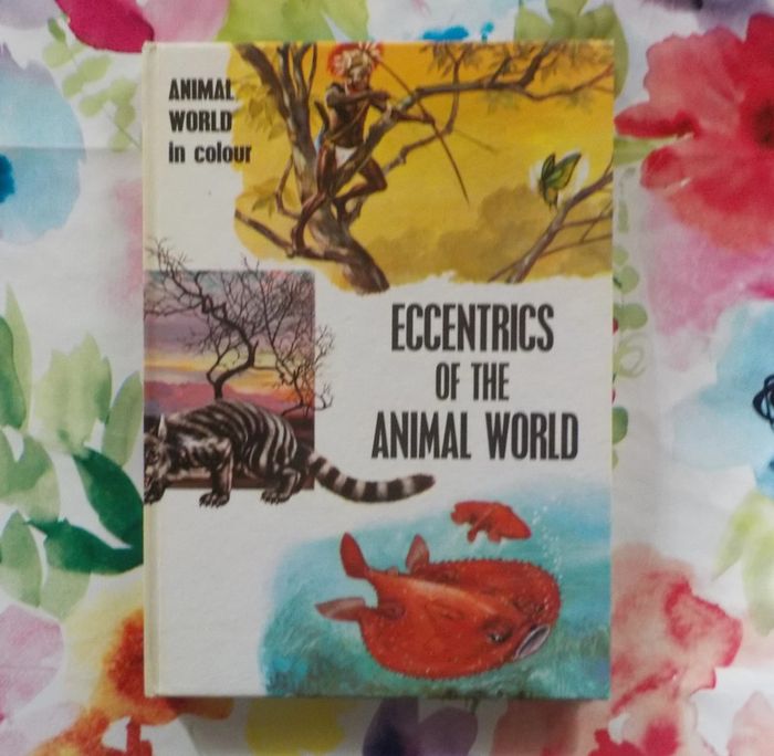 Eccentrics of the animal world Animal world in colour M. Burton