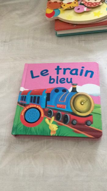 Livre Le train bleu